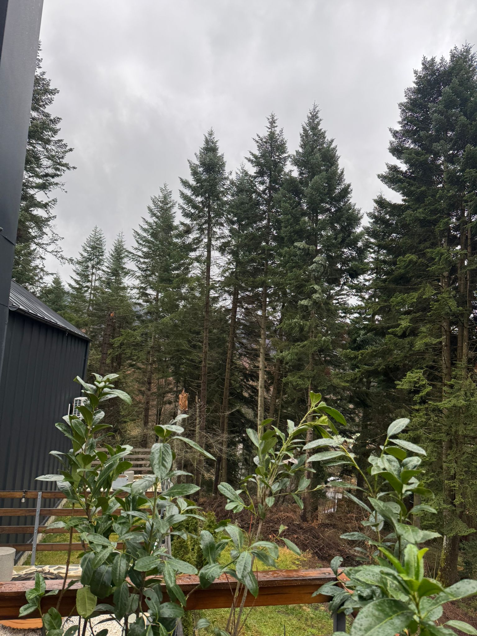 norwaycabins (13)