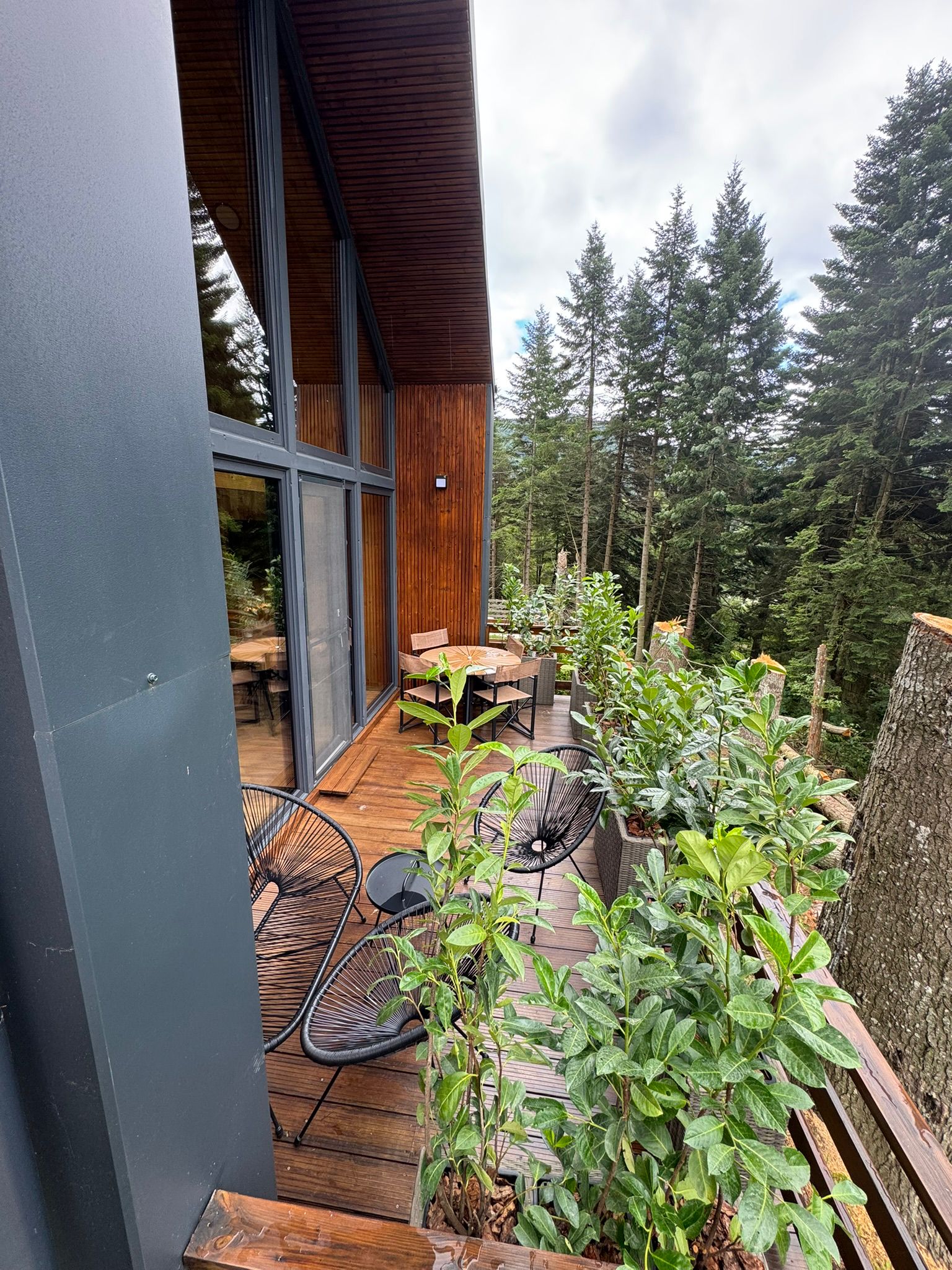 norwaycabins (6)